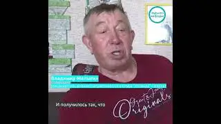 🐈Владимир Малыгин по просьбе бойцов СВО отправляет им котят-мышеловок.