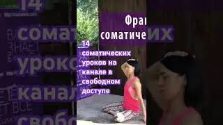 Плейлист «Кошачьи потягивания»