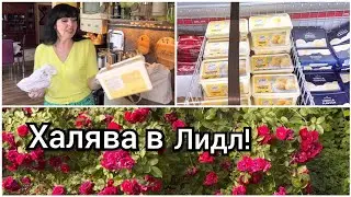 За Такую Цену Мороженое🍦я Ещё не Покупала🌹Ruta Vlog 🇱🇻 Латвия 