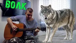 Волк Песни под гитару