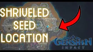 How to Obtain Shriveled Seed Genshin Impact 2.6