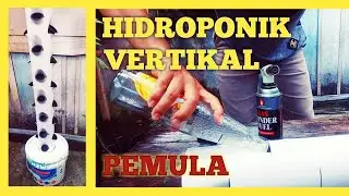 Cara Membuat Hidroponik Vertikal Pemula