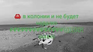 Ачень грусные новости
