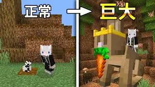 【Minecraft💎珠寶匠異世錄】變大變小的馬力歐魔法❔騎上兔兔探索地洞世界😂｜三尾木木犬