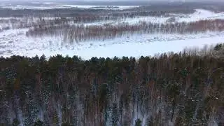 ЗИМНЯЯ ТАЙГА С ВЫСОТЫ ПТИЧЬЕГО ПОЛЕТА #ТАЙГХМАО