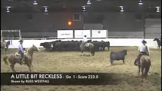 2011 STAMPEDE CUTTING - NP - 1st go