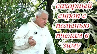 ПОДКОРМКА ПЧЕЛ сахарным сиропом с полынью. Семья осталась без меда.