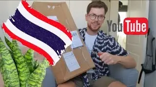 Сансевиерии из Тайланда через Латвию. Большая посылка.