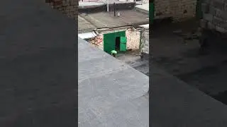 Что он там делает ?