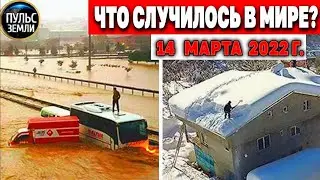Катаклизмы за день 14 МАРТА 2022! Пульс Земли! 