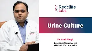 Understanding Urine Culture & Sensitivity Test | Dr. Amit Singh | Redcliffe Labs