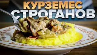 Курземес строганов