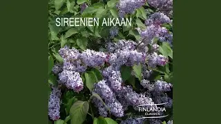 Rakkauden arvoitus