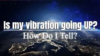 Am I High Vibe - HOW DO I TELL ?!