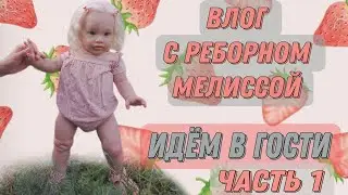 Прогулка с реборном🍓Vlog🍓Идём в гости купаться в бассейне🍓