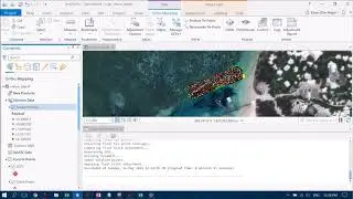 Creating Orthomosaics in ArcGIS Pro with Drone Imagery