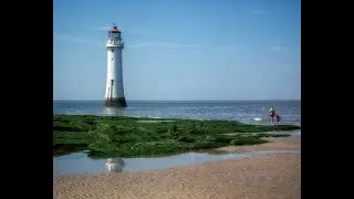 Shark cruises towards beachgoers at  New Brighton beach . River Mersey . Wirral .