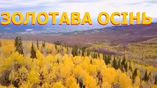 Золотава осінь