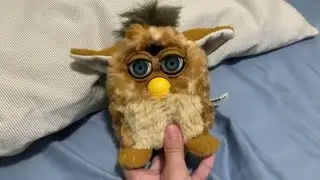 I found a Furby at a thrift store IT WORKS!￼