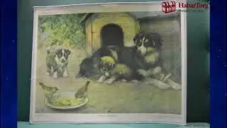 Почему палестинцы и израильтяне воюют за нашу землю. Очередной акт из театра.