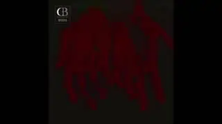 SIN SIN - Contaminated (Original mix )