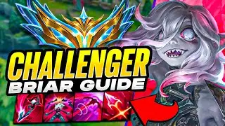 HOW TO PLAY BRIAR! RANK 1 CHALLENGER GUIDE