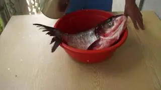 Как легко и просто почистить рыбу
