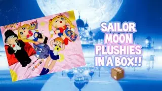 Collection Earth: Sailor Moon/R/S plushies in a box 📦