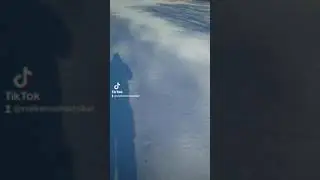 выживание в лесу - 2 ( что делать если встретил лося ) 