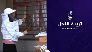 اول امرأة عراقية تعمل في مهنة تربية النحل في #الموصل  😍🙏