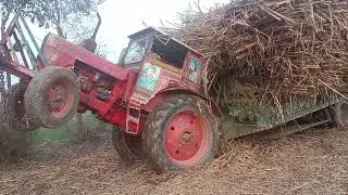 Belarus 510 🚜 tractors dangerous stunts with heavy loaded trolley Belarus abid Bhatti driver