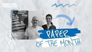 Paper of the Month: Preisträger Mina Shaigan & Mehdi Joodaki