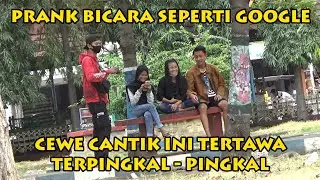 BICARA SEPERTI GOOGLE KE ORANG-ORANG | 1 | PRANK INDONESIA