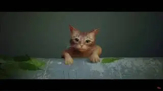 Обзор 