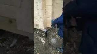Шлифовка торцов дома из клееного бруса