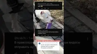 Амстафф Бой и НЕГАТИВ В НАШУ СТОРОНУ ! 