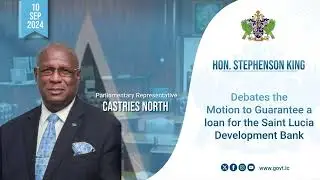 Hon. Stephenson King, Debates the Motion to Guarantee a loan for the SLDB