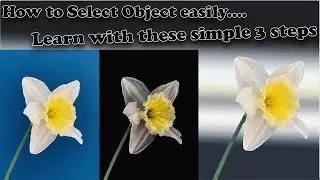 HOW TO SELECT OBJECT  WITH DIFFERENT METHODS || OBJECT SELECTION || QUICK SELECTION || CHANNELS ||