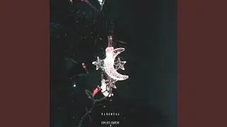 Дикий Запад