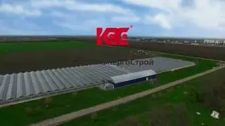 Тепличное хозяйство Кубани