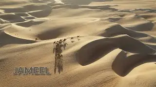 Jameel - Beautiful and melodic Arabic music with violin, Spanish guitar, bass and percussion