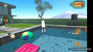 Ор