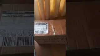 Розы из питомника 