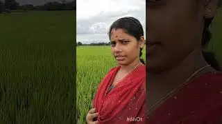 গতকাল দুপুরে একটু জমিতে ঘুরতে গিয়েছিলাম  ||ব্লগ ভিডিও|| sampa lifestyle