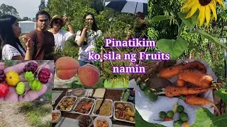 Harvest today: Kalamansi, Carrots atbp. + Friends tried  our Fruits