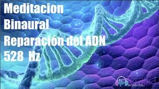 Meditación Binaural 528Hz I Reparación y Reprogramación del ADN I Relajación I Calma