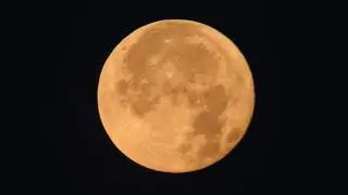 Moon Zoom Morning Nikon P900