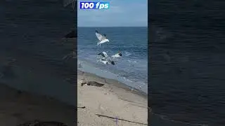 Mini 4 Pro in 100fps 🤯