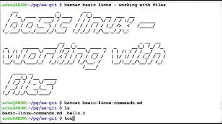 basic linux commands - working with files