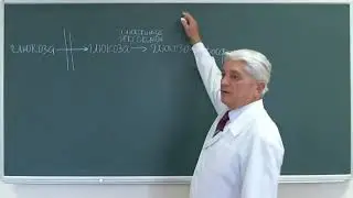 16:40-18:10 Интеграция обмена углеводов, липидов и белков  Нарушения метаболизма при сахарном диабет